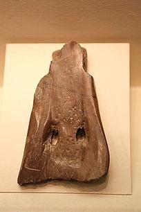 河姆渡文化骨耜