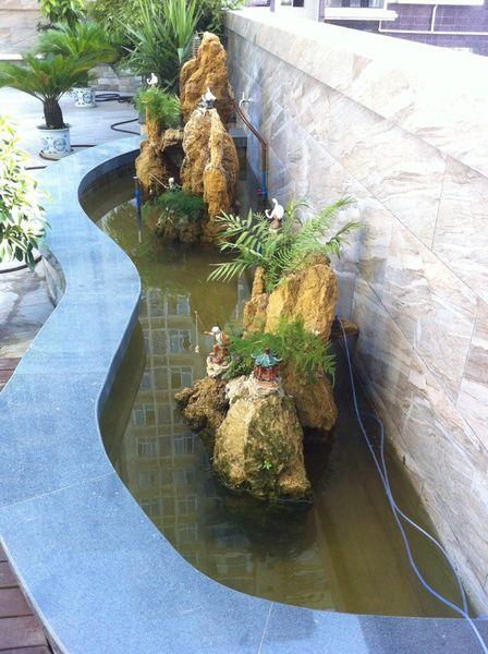 家里新修了一个养鱼池,但是养鱼会死,怎么办?