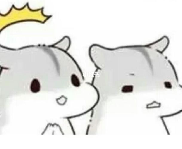 可爱仓鼠老公表情包_表情包_仓鼠_我的第一篇笔记_素材_表情包