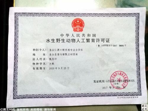 与渔业监督监察总队发放的《水生野生动物人工繁育许可证》(今年所换