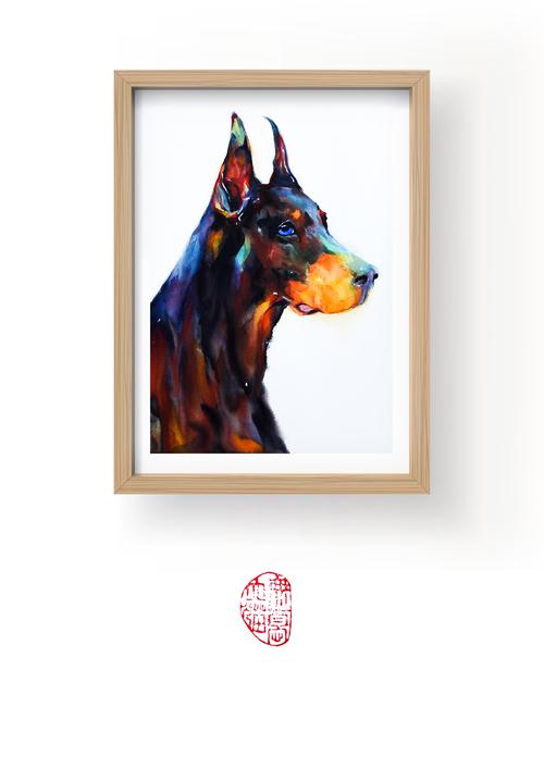 杜宾犬