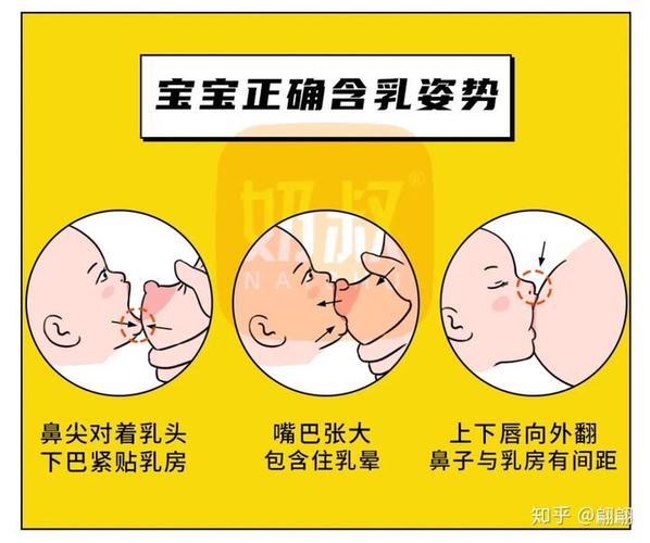 然后宝宝正确含乳姿势应该如下图