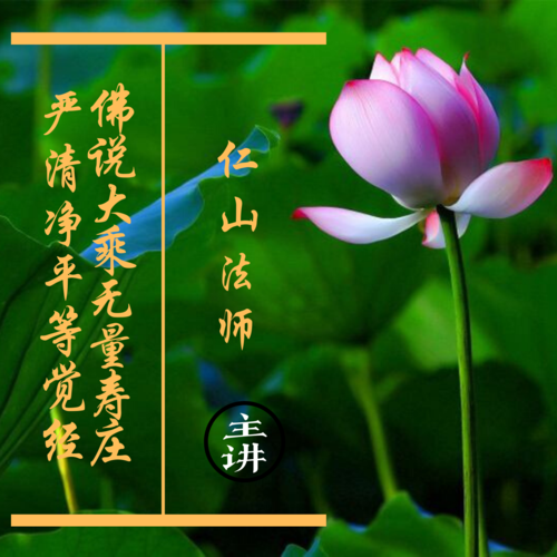 无量寿经丨仁山法师主讲