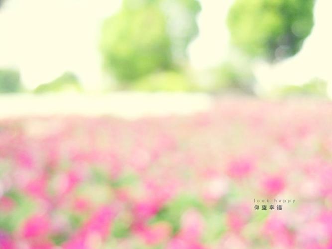 5月`仰望幸福)ㄣ