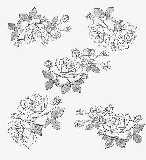 手绘黑色线条花卉