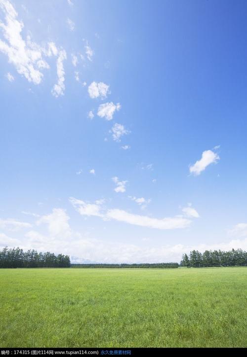绿油油草地上的碧蓝天空