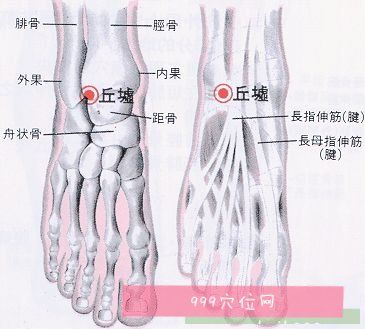 丘墟穴位的准确位置图_丘墟穴位位置图的作用丘虚穴
