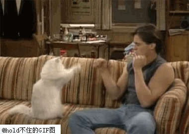 搞笑图片 - 猫咪太温柔了