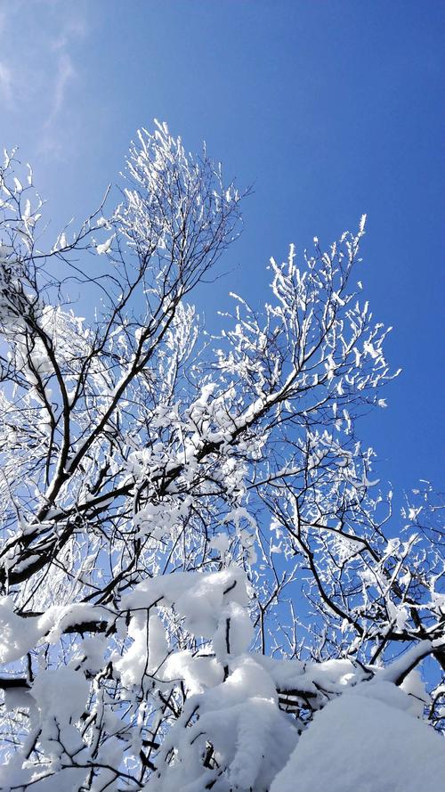 满天雪花飘飘洒洒,那是冬天的童话