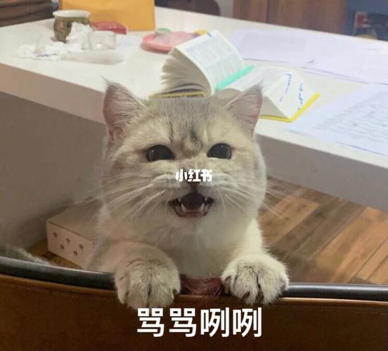 嗷呜～_表情包_我最爱的表情包_素材_表情包