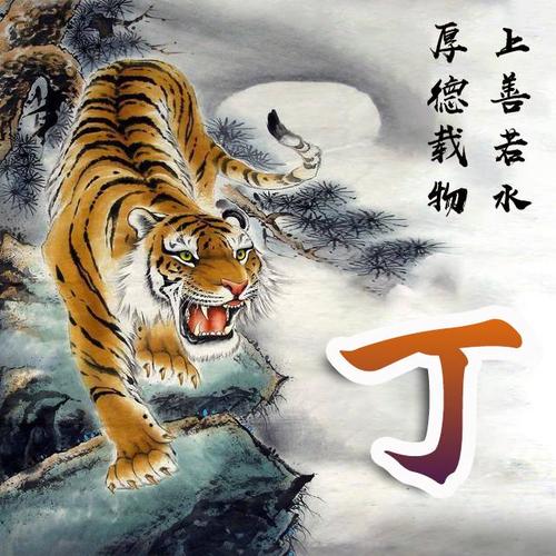 喜欢老虎的朋友有福啦!30张下山虎微信头像,霸气外露!