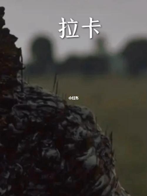拉卡科幻片,恐怖片末日片_恐怖片_科幻片_电影推荐_恐怖电影推荐_影视