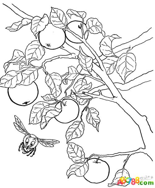 苹果树简笔画_水果简笔画_简笔画大全