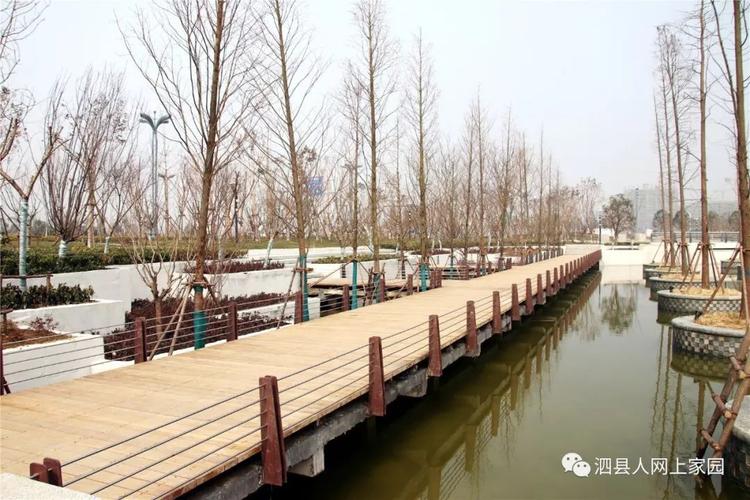 【美好泗县】春日值得一看 泗县中央公园湖水清澈辽阔