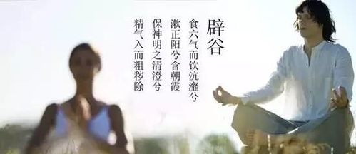 一年辟谷3~4次