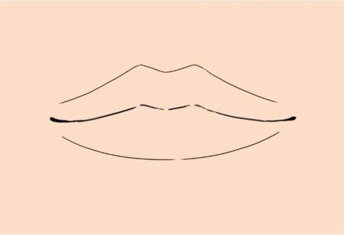 想必这些都是绘画初学者们经常在想的问题吧,就是不知道如何才能学习