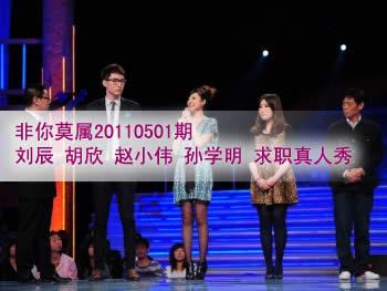 非你莫属20110501期:刘辰 胡欣 赵小伟 孙学明 求职真人秀
