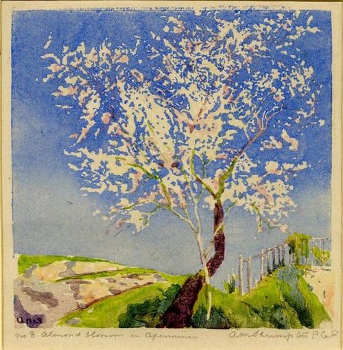 ada maticlda shrimpton: almond blossom in apennines woodcut