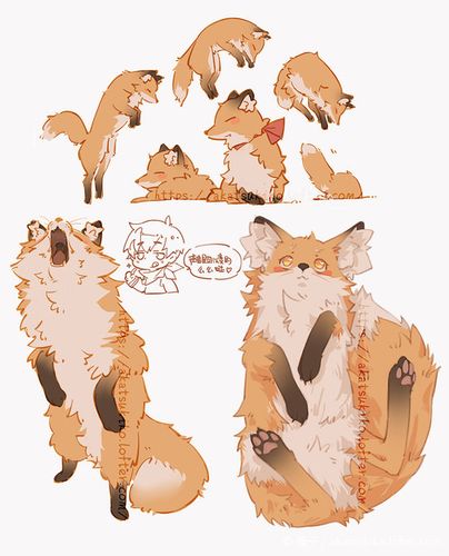 画狐狸真的很上头