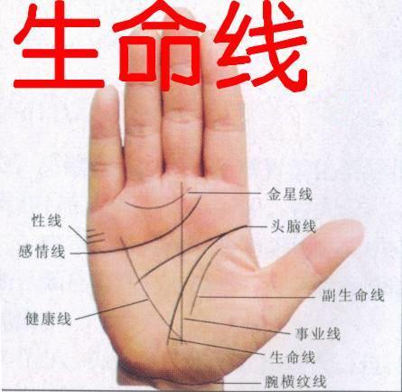 生命线与事业线相交预示着什么?