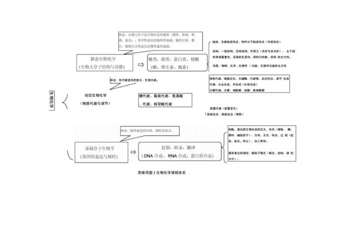 生物化学思维导图.docx 47页
