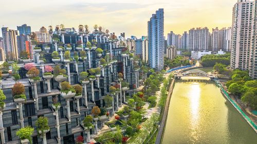 上海的新晋网红建筑天安千树建成每天来参观的人络绎不绝