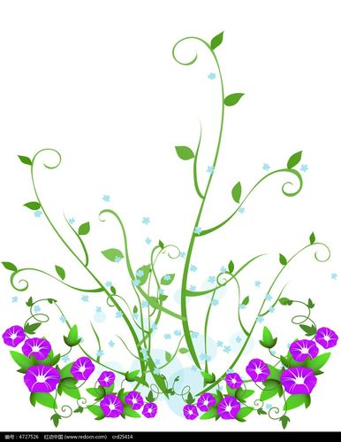 牵牛花简笔画藤蔓