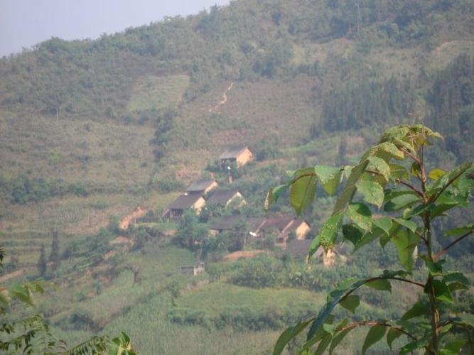  p>云南省文山州富宁县者桑乡弄所村民委那雄村,属于山区.