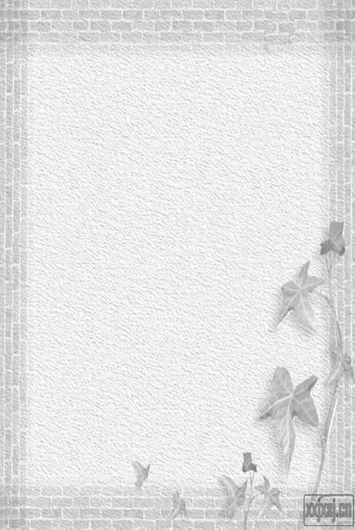 "菁菁校园,爱我长理"征文大赛策划书.doc