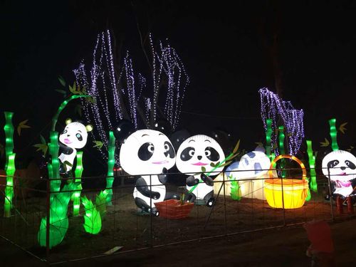成都国际熊猫灯会   熊猫灯会春节票 - 成人票