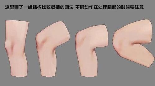 怎么画好人物的膝盖?教你如何绘画人物膝盖结构的画法