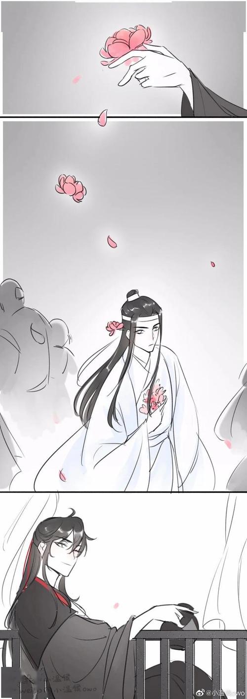 魔道祖师/忘羡:婚后叽魂穿