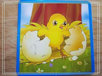 如何不让鸡去孵蛋