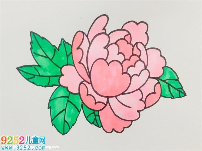 一笔一笔的教画牡丹花 牡丹花简笔画