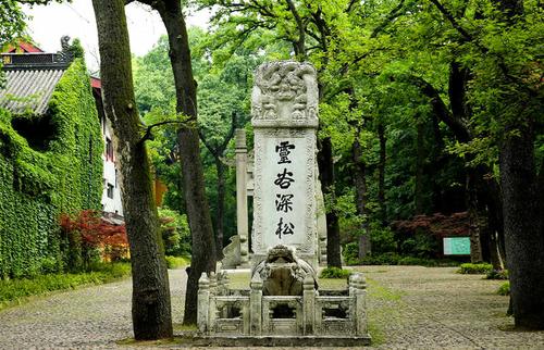 灵谷灵药灵植小说