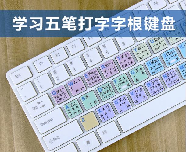 一天内就能自己学会的五笔打字课程