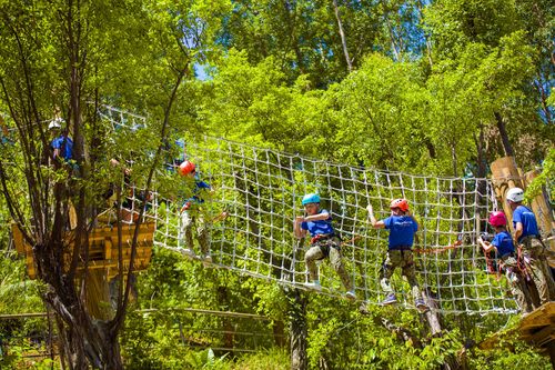 可拉熊丛林探险营地