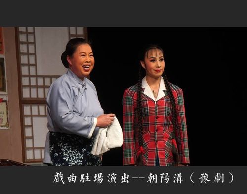 "豫"花怒放在"晋"苑里!观长治市豫剧团经典剧目《朝阳沟》(副本)