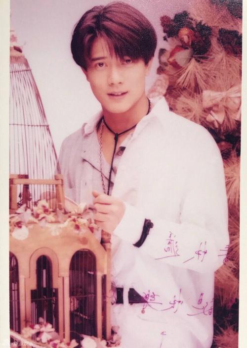 组图:《十七岁》曝海报 郭富城穿校服活力满满_高清