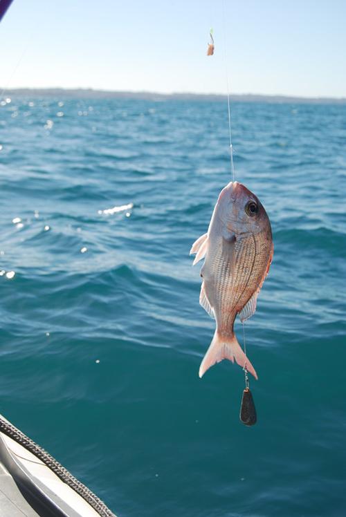 [转载]孩子们的假期生活之出海垂钓