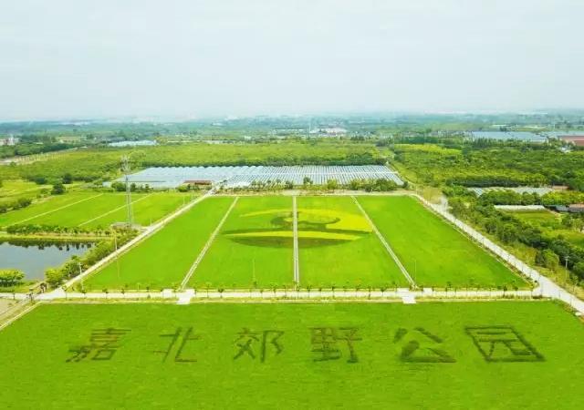 嘉北郊野公园团建拓展基地