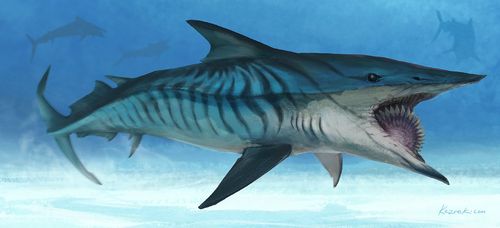 helicoprion