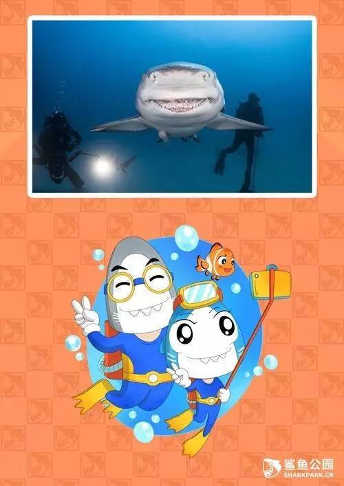 酷似迪斯尼动画电影《海底总动员》里的鲨鱼布鲁斯(bruce)