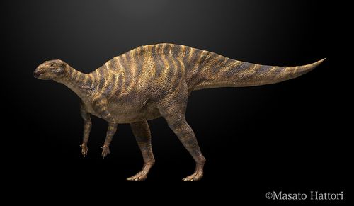 福井龙