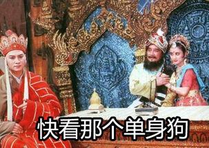 快看那个单身狗(唐僧表情包)_单身狗_唐僧_那个表情