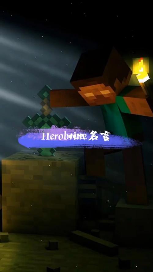 him_我的世界_语录_游戏_主机游戏