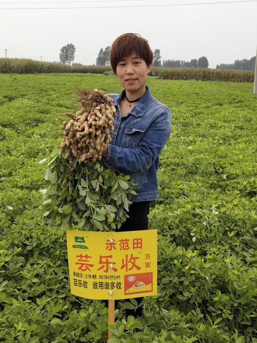 芸乐收喜迎 中国首届农民丰收节