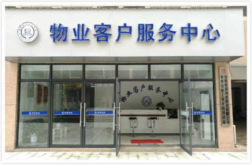 湖光春色溢校园物业服务暖信工昭阳物业开展如意湖周边环境整治工作