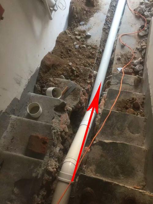 再也不买二楼了,我家卫生间天天堵住,原来楼下装修时改成了独立下水!