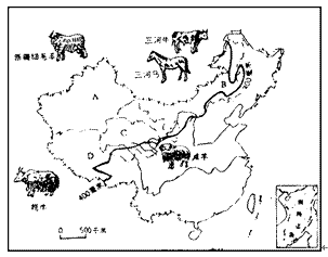 (1)写出我国四大牧区      a.                         b.